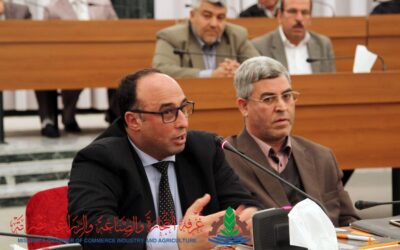 لقاء مع وزير الإقتصاد والصناعة المفوض